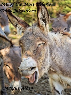 cover image of 240 of the Most Hilarious Dirty Jokes Ever